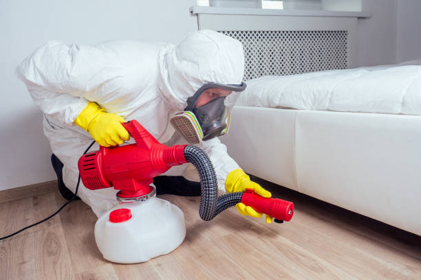 Best Mosquito Control Services  in Lafayette, GA