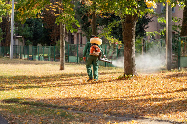 Lafayette, GA Pest Control Company