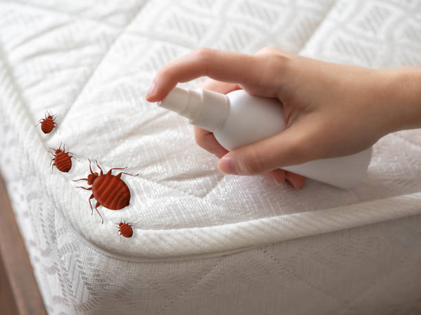Lafayette, GA Pest Control Company
