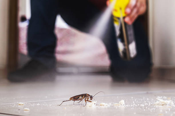 Best Commercial Pest Control Services  in Lafayette, GA